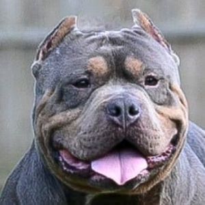 Meet your Posher, Theresa